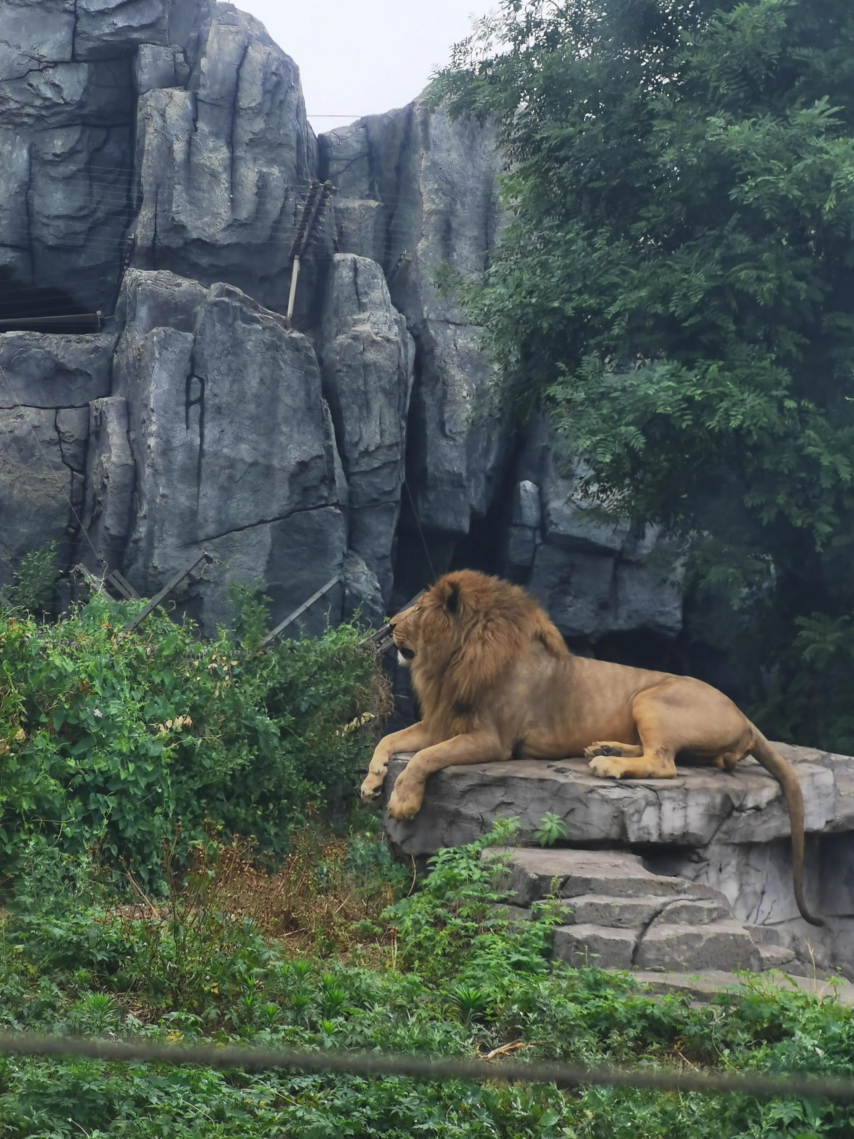 唐山，古今辉映的历史与现代都市风采
