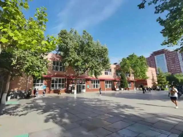 保定技能学习攻略,入门到精通全解析